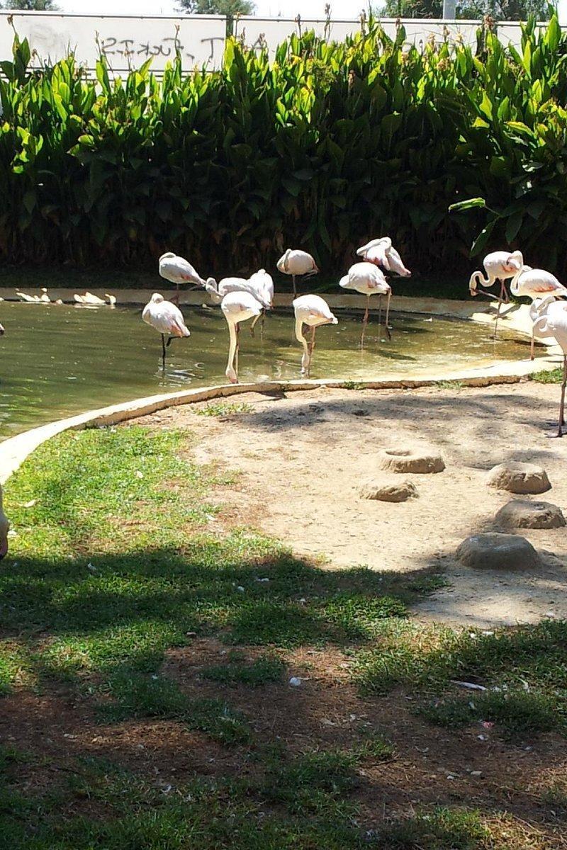 Limassol Zoo
